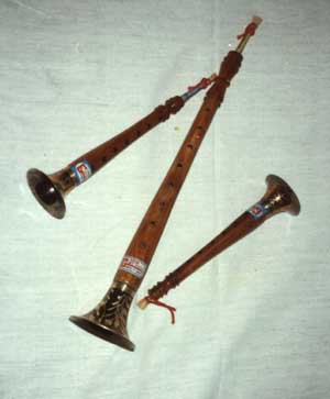 bild:Shenai.jpg